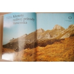 Rubín/Galvánek/Vydra - Klenoty neživej prírody Slovenska